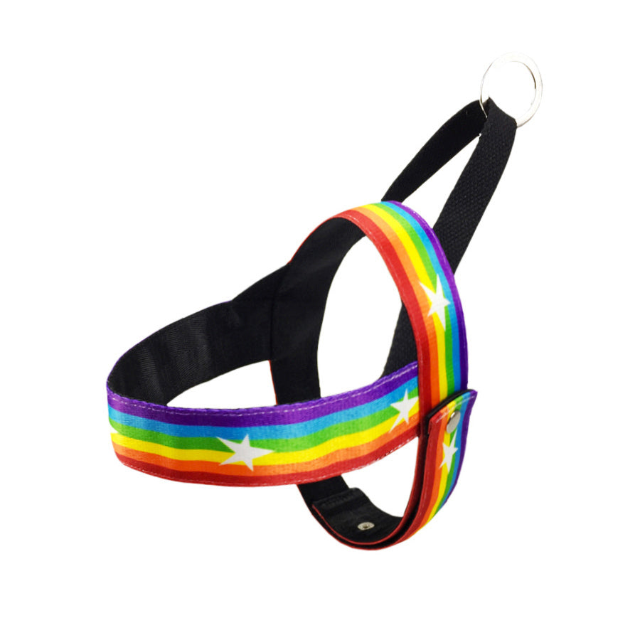 Rainbow Col Dog Leash