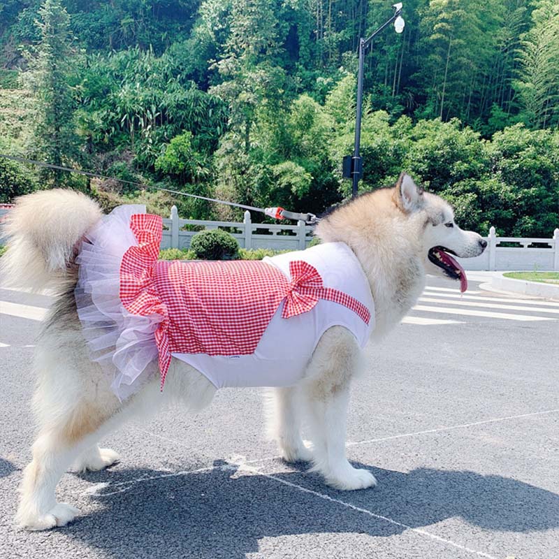 Poodle Bichon Corgi Dog Clothes